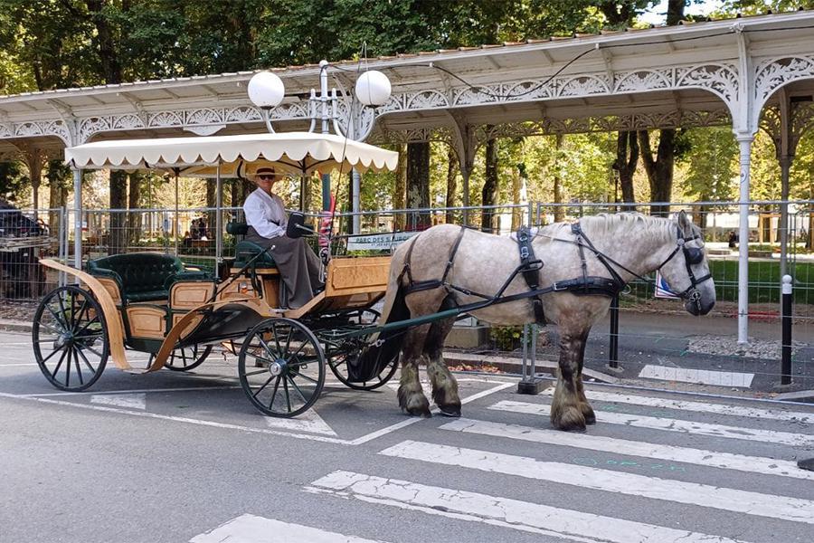 Les calèches de la Rive