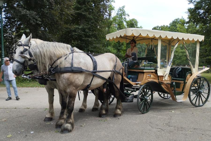 Les calèches de la Rive